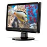 Monitor LCD 15,6´ Widescreen Multimidia 1619Swa Aoc - 2