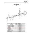Ver imagem 3 de Anel Secção Retangular para Bombas Série J / Jq / Hj Jacuzzi Ja13272802