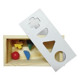 Brinquedos Educativos - Passa Peça 4 Unidades - 1