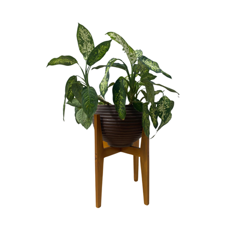 Suporte Cachepot P/ Vasos de Plantas Alto Luxo Pequeno