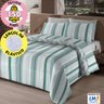 Jogo de Cama Lençol Queen 4 Peças 150 Fios Antialérgico Camesa - 3