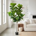 Ver imagem 1 de Planta Artificial Ficus Lyrata Planta Real Toque 1.80m, Plantas para Decoração de Casa.