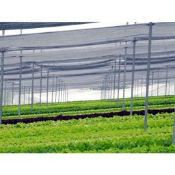 TELA SOMBREAMENTO FRESHNET 50% 7,00 X 39 METROS - 5