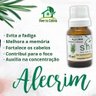Óleo Essencial de Alecrim 100% Puro Shin 1 Litro - 2