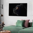 Ver imagem 2 de Quadro Decorativo Gato Preto Olhar - 50x70cm:moldura Branca