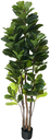 Ver imagem 1 de Arvore Planta Ficus Lyrata 180cm Galhos Grande Premium Verde