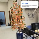 Ver imagem 3 de Ficus Outono Figueira Artificial Grande sem Vaso