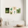 Kit 6 Quadros Decorativos Plantas Folhagens Frases Sala Quarto - 2
