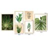 Kit 6 Quadros Decorativos Plantas Folhagens Frases Sala Quarto - 4