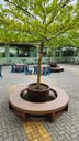 Ver imagem 4 de Banco Circular (Anel) para Jardins e Árvores