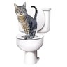 Adestrador Gato Privada Vaso Sanitário Citti Kitty - 2