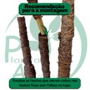 Ver imagem 6 de Arvore Artificial Ficus Verde Figueira Lyrata Grande sem Vaso Decorativo