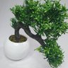 Bonsai Artificial Mini Folhas Mini Árvore Vaso De Cerâmica - 4