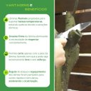 Ver imagem 6 de Serrote Japonês Podador Zetsaw Z-Fruit H-210 com Bainha 210mm