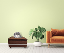 Ver imagem 3 de Cama Pet Cachorro ou Gato