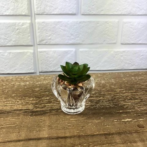 MINI VASO DE VIDRO COM SUCULENTA - MOD B