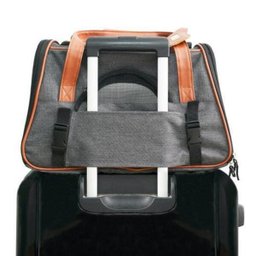 Bolsa Transporte Pet Luxo Cães E Gatos Avião Preto - 7
