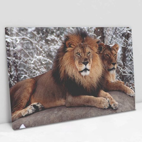 Quadro Decorativo em Canvas Leão e Leoa - Moldura Madeira - 60 x 40cm