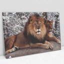 Ver imagem 1 de Quadro Decorativo em Canvas Leão e Leoa - Moldura Madeira - 60 x 40cm