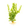 Kit plantas artificiais de plástico enfeite de aquario PA-13 - 6