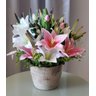 Arranjo Com Vaso De Flores Lírios Artificial 8289 - 1