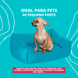 Kit Pet Com Cama Cachorro Gato M 57X37 Acorde Se For Comer - 2