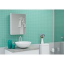 Ver imagem 2 de Espelheira para Banheiro 1 Porta Astra