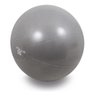 Bola Suíça Ginástica Gym Pilates Yoga Fit 55cm + Bomba Vollo - 1
