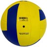Bola Vôlei Rainha 2.5 Amarelo e Azul - 2