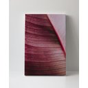 Ver imagem 1 de Tela em Canvas 100