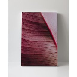 Tela em Canvas 100 - 1