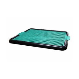 Sanitário Pet Canino Verde Brinqpet Banheirinho Pipi Dog - 2