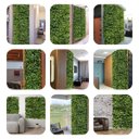 Ver imagem 7 de Kit 12 Painéis Plantas Artificiais para Decoração de Luxo em Jardim Vertical Parede Verde e Ambiente