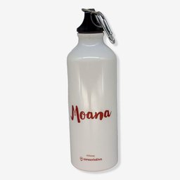 Garrafa com Mosquetão Moana Disney - 2