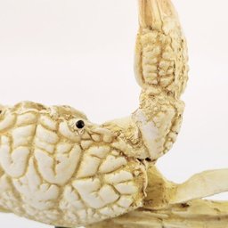 Escultura Caranguejo Decorativo Palha 23x16x7cm Resina - 5