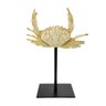 Escultura Caranguejo Decorativo Palha 23x16x7cm Resina - 1