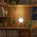 Ver imagem 3 de Abajur Design Sfera Vidro 12cm Lampada G9 Inclusa Luz Quente:Preta