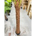 Ver imagem 5 de Palmeira Phoenix Artificial Planta Decoração Coqueiro 190cm