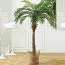 Ver imagem 7 de Palmeira Phoenix Artificial Planta Decoração Coqueiro 190cm