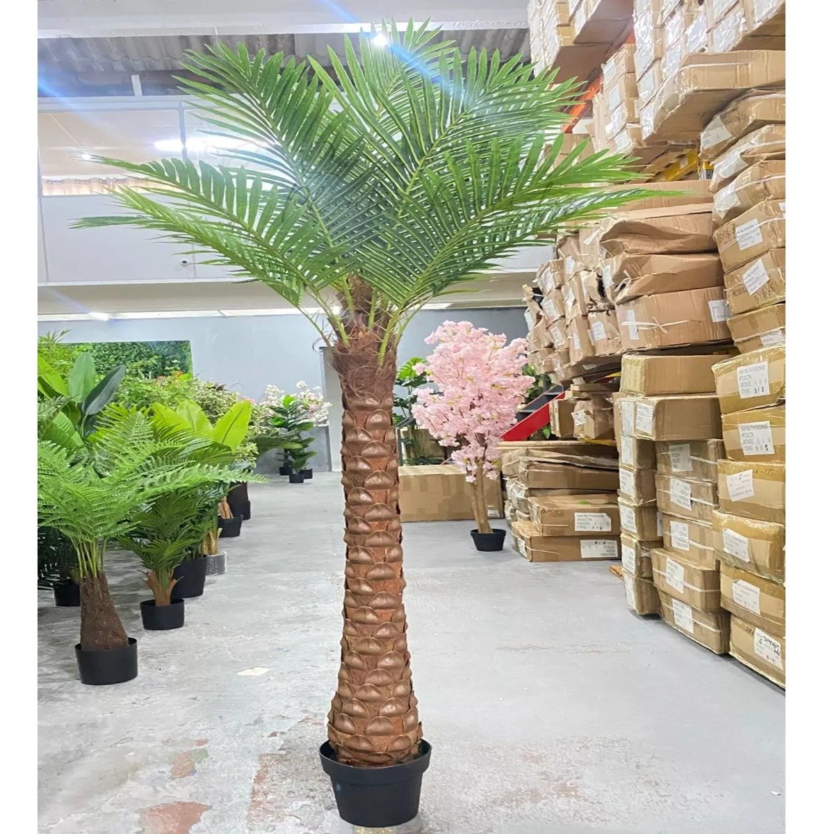 Palmeira Phoenix Artificial Planta Decoração Coqueiro 190cm - 4