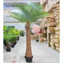 Ver imagem 4 de Palmeira Phoenix Artificial Planta Decoração Coqueiro 190cm