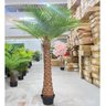 Palmeira Phoenix Artificial Planta Decoração Coqueiro 190cm - 4