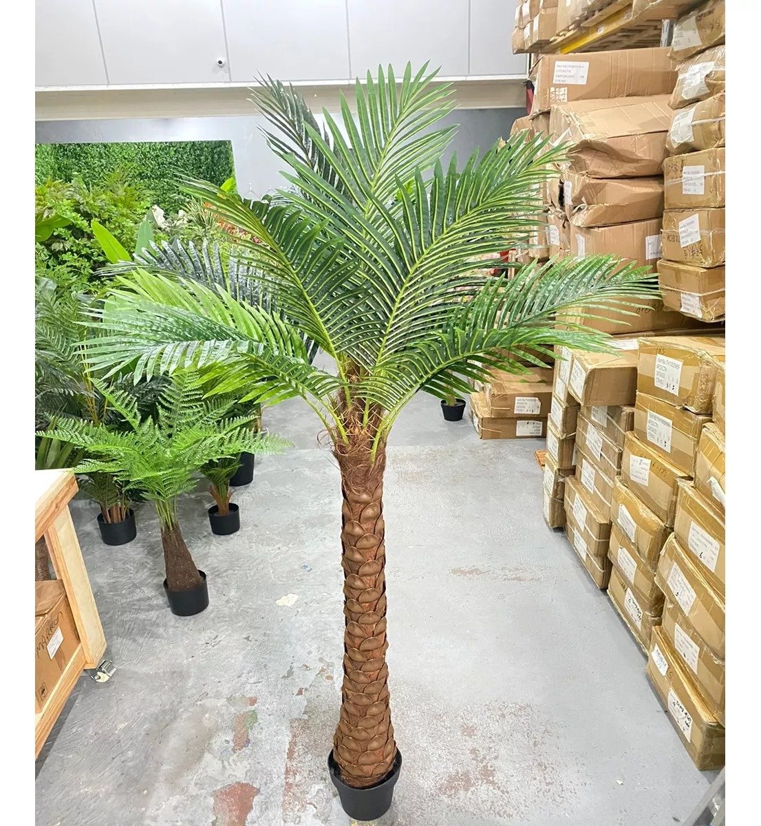 Palmeira Phoenix Artificial Planta Decoração Coqueiro 190cm - 6