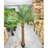 Palmeira Phoenix Artificial Planta Decoração Coqueiro 190cm - 6
