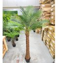 Ver imagem 6 de Palmeira Phoenix Artificial Planta Decoração Coqueiro 190cm