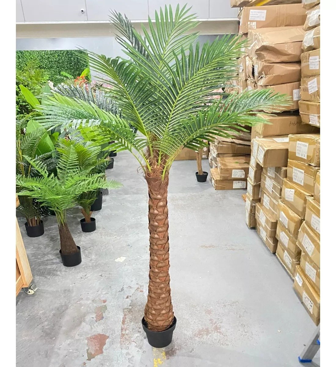 Palmeira Phoenix Artificial Planta Decoração Coqueiro 190cm - 2