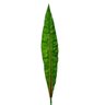 Folha Dracena Fragrans Planta Artificial Permanente 82x11cm - 1