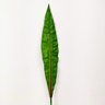Folha Dracena Fragrans Planta Artificial Permanente 82x11cm - 3