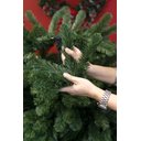 Ver imagem 7 de Árvore de Natal Pinheiro Belga Luxo Premium 787 Galhos 1,80m - Master Christmas