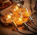 Ver imagem 2 de Lâmpada de Filamento LED G125 Squirrel Cage 4W Bivolt
